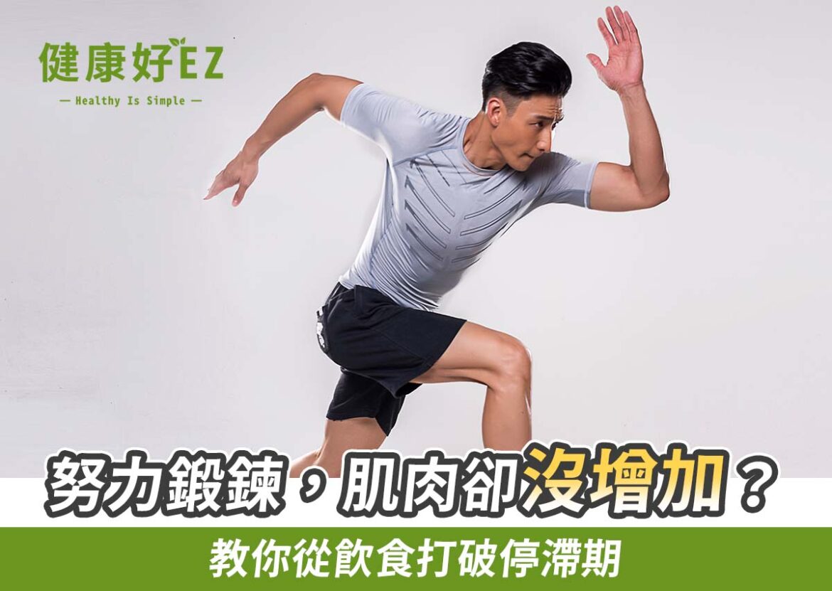 肌肉鍛鍊大哉問