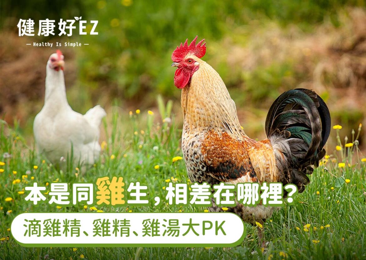 滴雞精、雞精、雞湯大PK