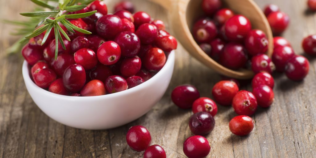 現代生活型態下的私密健康新趨勢:聚焦「A 型原花 青素」與「高吸收鋅」營養補充(圖片來源：vecteezy)